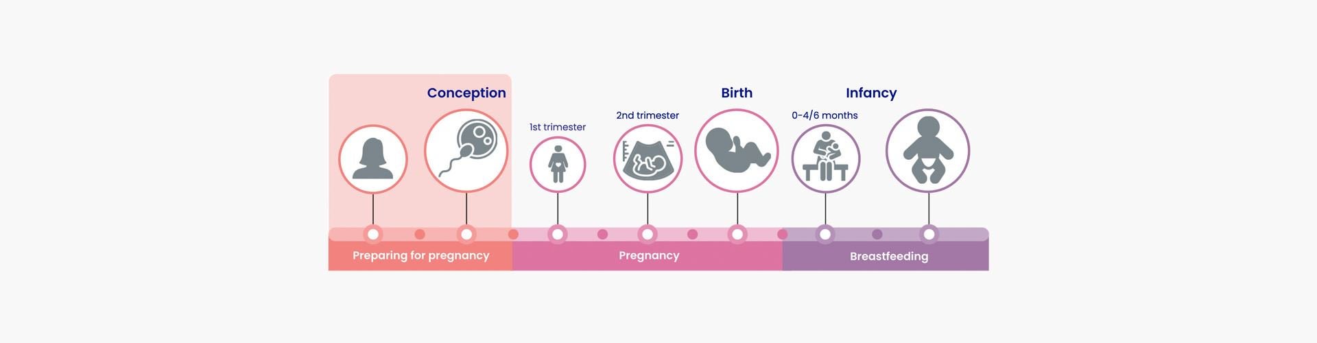 nutritional-guidance-preparing-pregnancy 