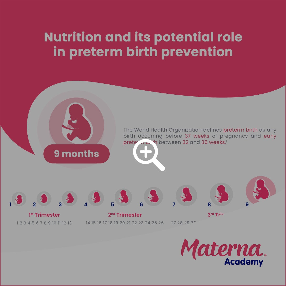 nutrition-and-its-potential-role-in-preterm-birth-prevention